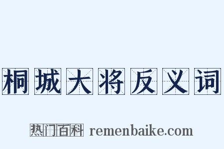 桐城大将反义词是什么意思的图片